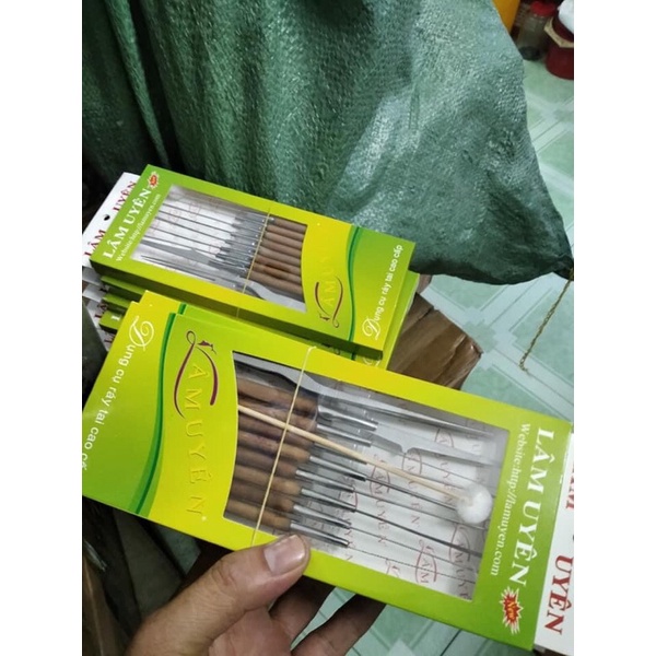 Bộ lấy ráy tai lâm Uyên cao cấp