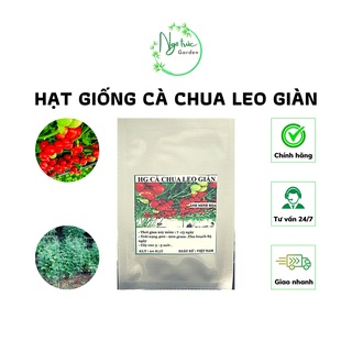 Hạt giống cà chua leo giàn - 20 hạt