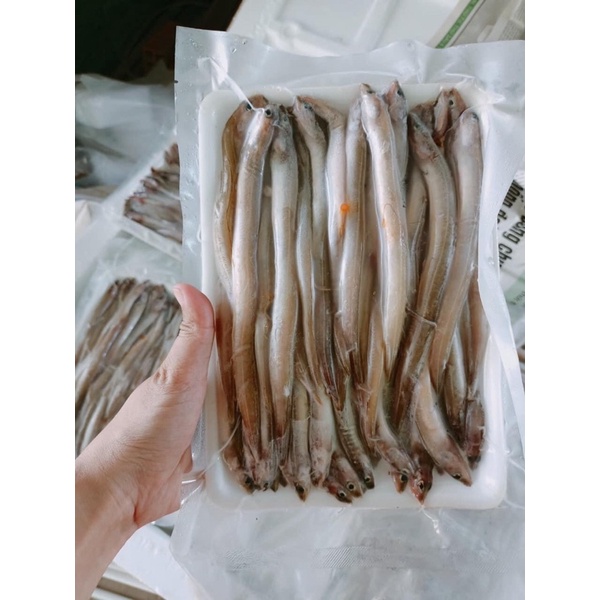 [HỎA TỐC SG] Cá sụn sịn tươi ngon có trứng chiên giòn chấm mắm me 500g
