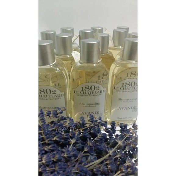 DẦU GỘI Oải Hương