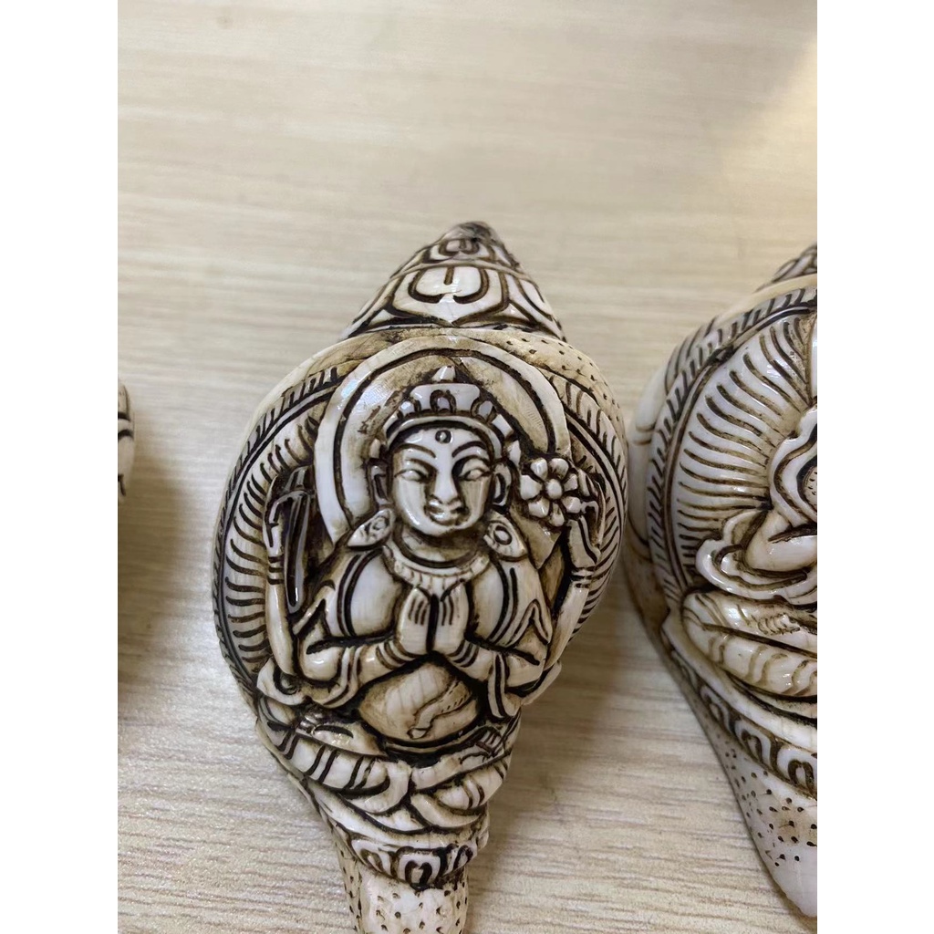 Ốc Biển chạm Nepal 10cm