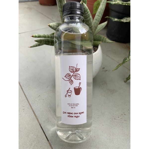 Nước súc miệng & chà răng Vườn Trầu