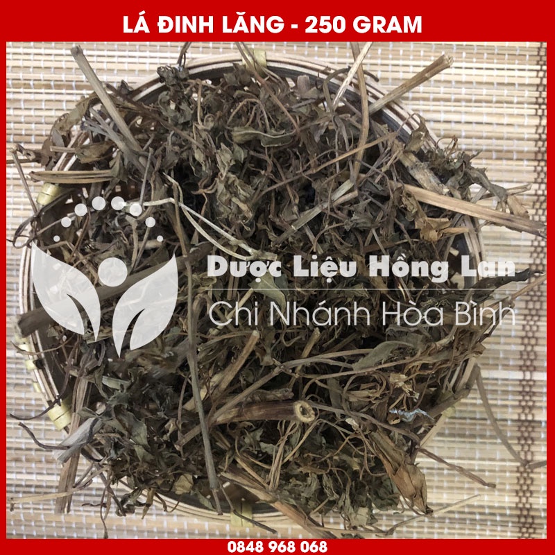 Lá Đinh Lăng khô sạch loại 1 - Hàng Chính Hãng