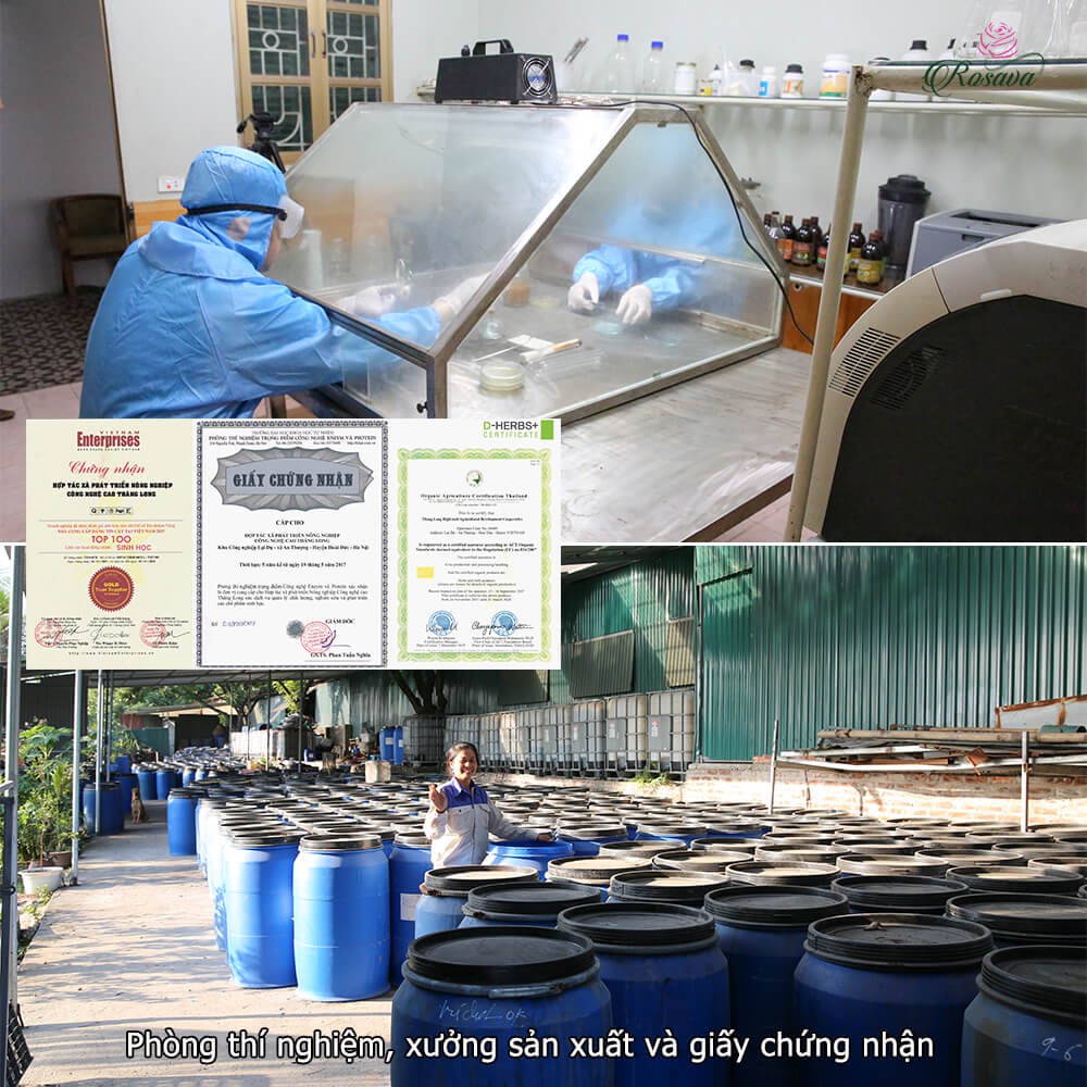 Combo phân bón hữu cơ vi sinh Rosava cho hoa hồng, cây cảnh, hoa giấy, lan, sen đá