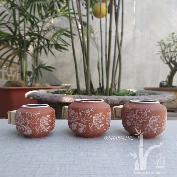 Cóng Chim Cảnh Cho Lồng Chào Mào