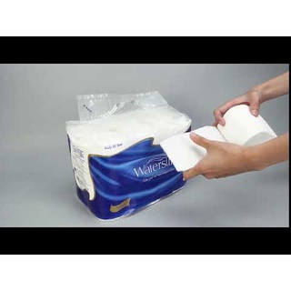 Giấy vệ sinh Watersilk 12 cuộn/1 dây