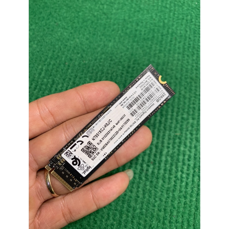 Ổ Cứng SSD Samsung NVMe PM981a M.2 PCIe Gen3 x4 256GB MZ-VLB256B,WESTERN SN730 NVME