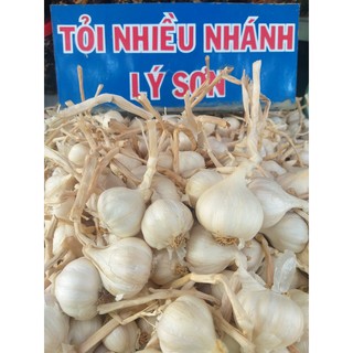 Tỏi thường Lý Sơn - TL01 - Tolia's Shop