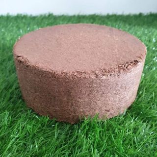 Bánh nén mụn xơ dừa, viên nén xơ dừa dạng bánh (440gr)