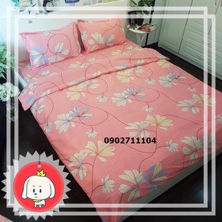 Bộ ga cotton korea
