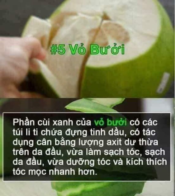 Túi lọc gội đầu kèm xả