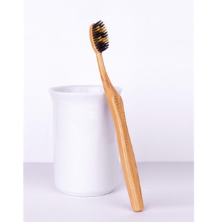 Bàn chải đánh răng biz+