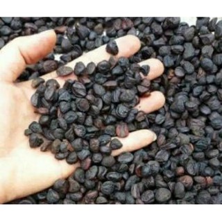 20 hạt dổi rừng gia vị Tây Bắc