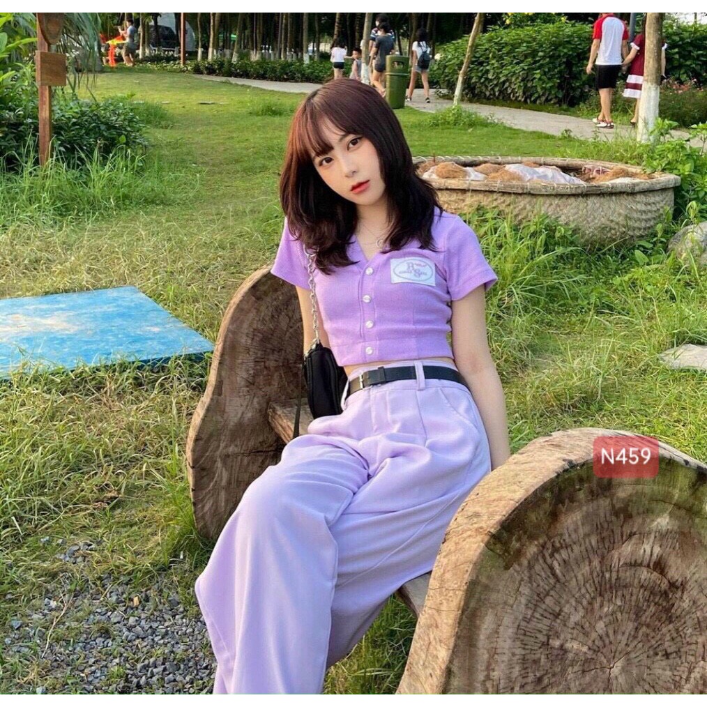 Áo kiểu croptop cổ trụ thêu gấu, Áo croptop nữ Polo chất thun borip mềm mạinhiều màu Mã A5 Freesize