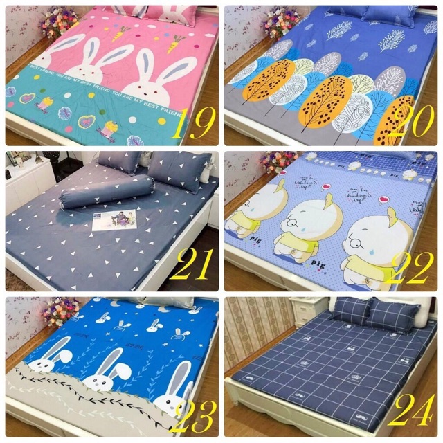 Set ga gối cotton poly
