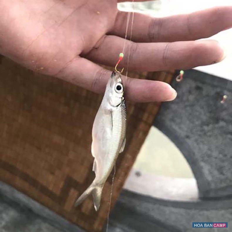 Thẻo Rọ Câu Cá Mương | 7 lưỡi