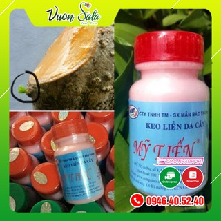Keo liền da mỹ tiến - liền sẹo cây cảnh