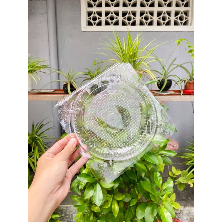 Set 10 hộp tròn nhựa trong nắp liền đựng bánh bông lan