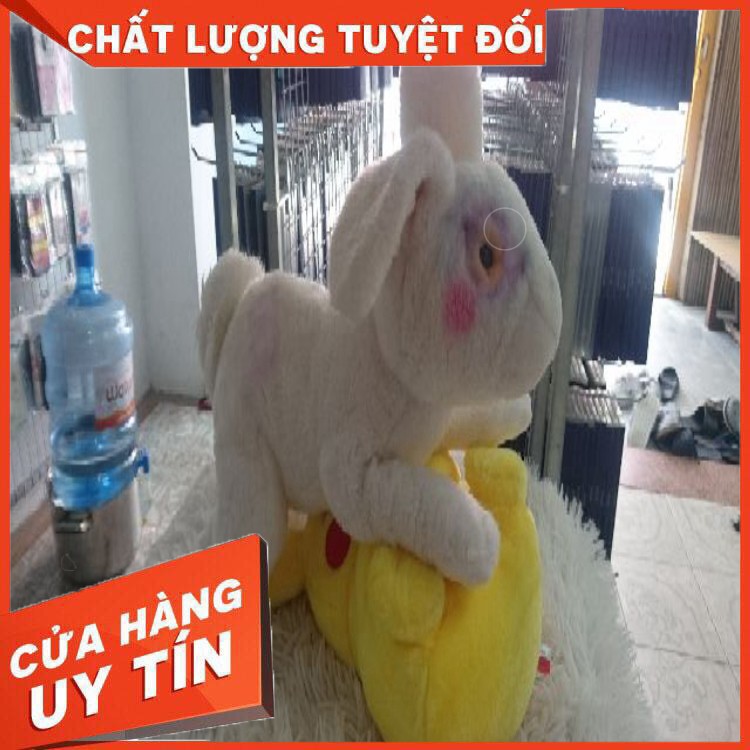 [CHẤT LƯỢNG SỐ 1] GẤU BÔNG THỎ XINH ĐẸP NHẬP KHẨU HÀN QUỐC