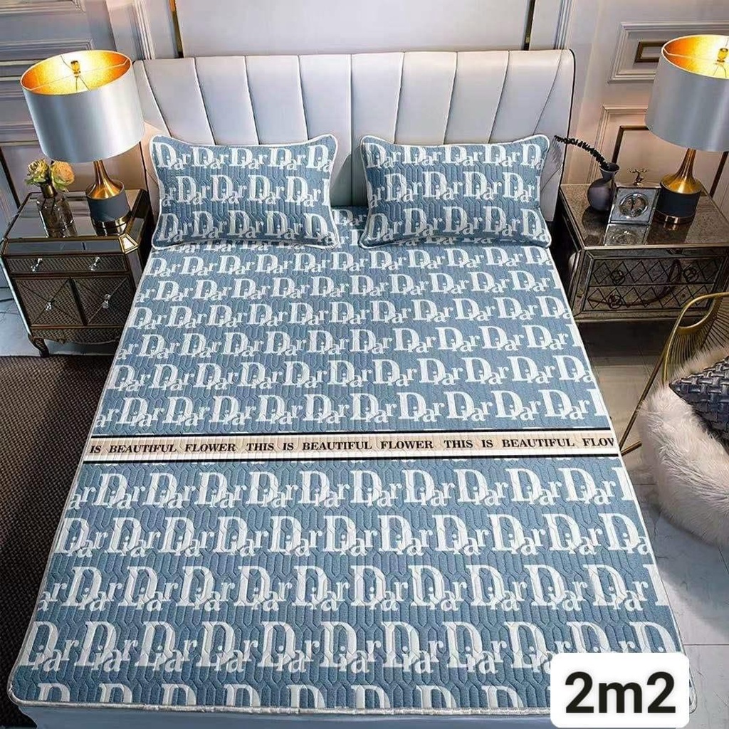 Chiếu điều hòa sao su non in hình 3D dễ thương tăng kèm 2 vỏ gối đầu | BigBuy360 - bigbuy360.vn