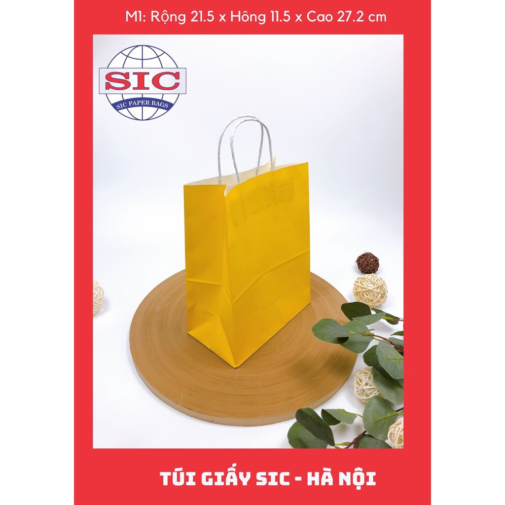 [SET 20 CHIẾC] Túi M01 có quai  (ẢNH THẬT SẢN PHẢM VÀ VIDEO)