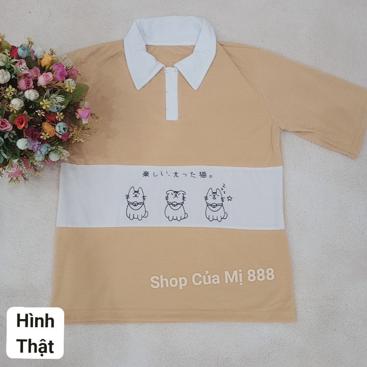 [ hình thật ở cuối ] Áo Thun Polo Unisex Tay Lỡ Form Rộng in hoạ tiết hoạt hình Mèo Con Cute và đáng yêu M0109