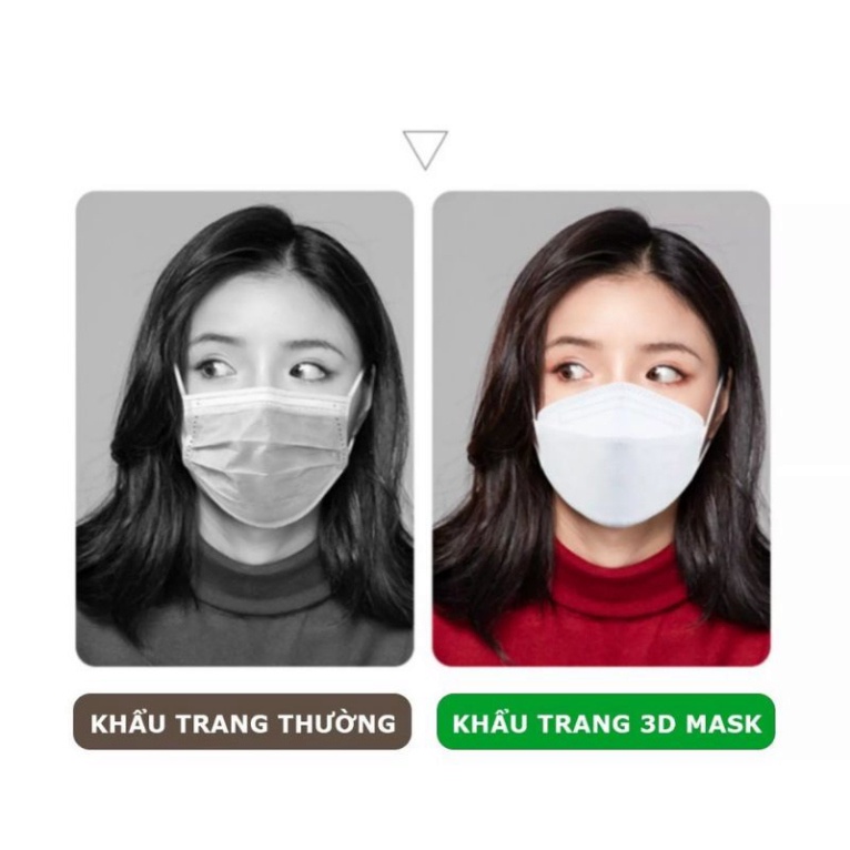 Túi 10 khẩu trang y tế Nanopro Mask KF94