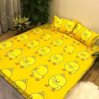 Sét ga gối poly