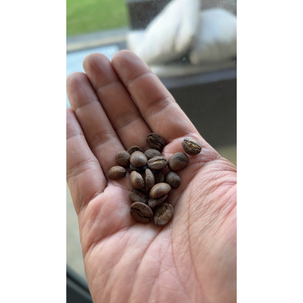 Yellow Bourbon Cà phê Arabica Cầu Đất nguyên chất rang mộc gu nhẹ nhàng pha máy, pha phin, pour over C.O.C Saigon | BigBuy360 - bigbuy360.vn