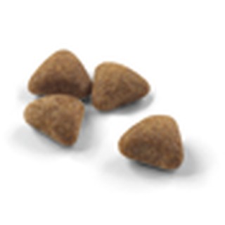 Thức ăn mèo canin Indoor 1kg