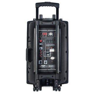 Loa Temeisheng DP-2305S