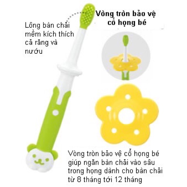 Bàn chải đánh răng 3 giai đoạn Richell cho bé 3,8,12 tháng