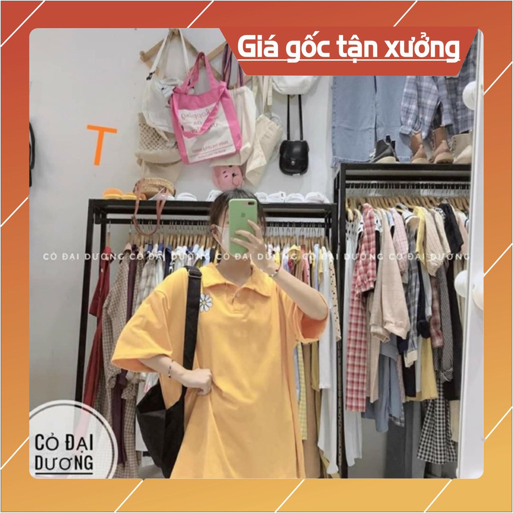 Áo polo hia cúc nhỏ TT12