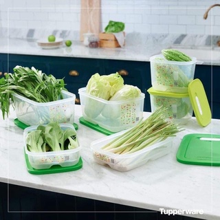 SET VENTSMART 6 HỘP TUPPERWARE VIỆT