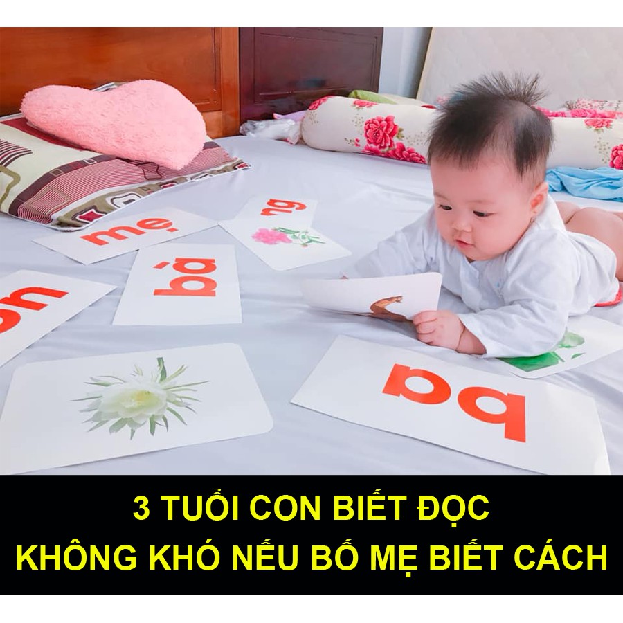 [Ưu đãi] Bộ Từ Đơn song ngữ A-V khổ To A5 (10 chủ đề, Tổng 100 thẻ 15x21cm) giúp bé biết mặt chữ,tập đọc và biết nói sớm
