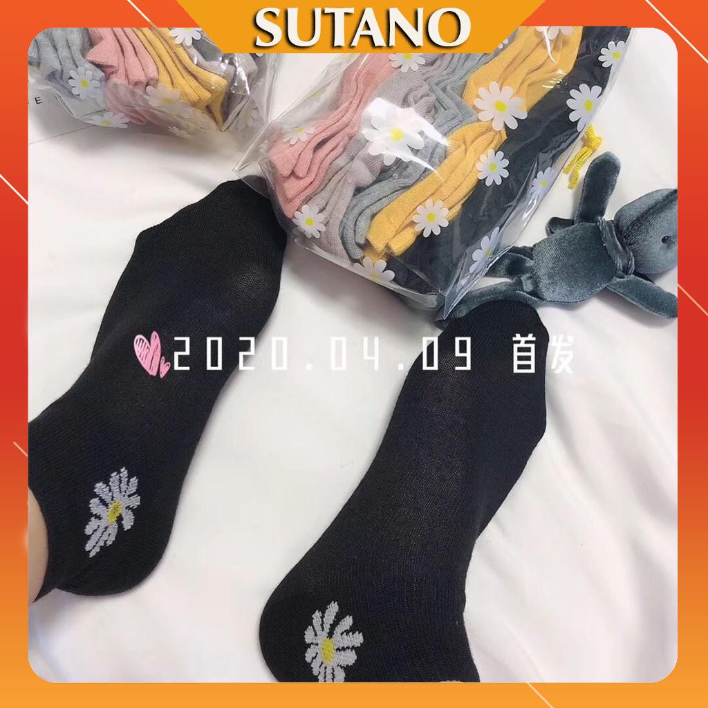 Set 10 đôi tất hoa cúc kèm túi xinh [HÀNG ĐẸP]
