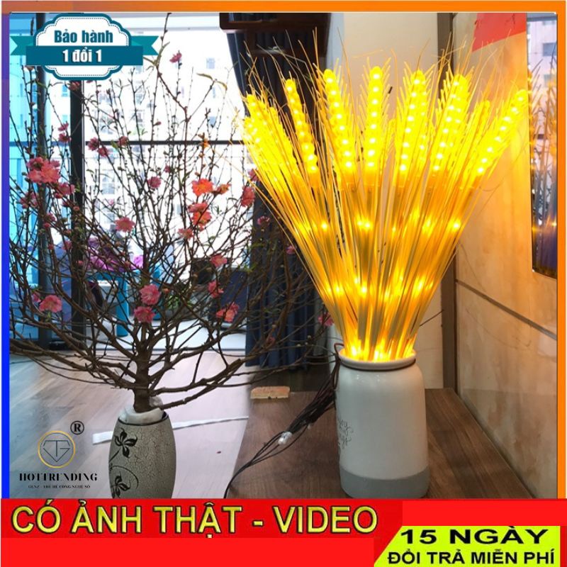 Đèn Led Bông Lúa Trang Trí Tết 2023 - Bông lúa Vàng - Trang Trí Bàn Thờ Phòng Khách dùng điện 220v An Toàn Cao