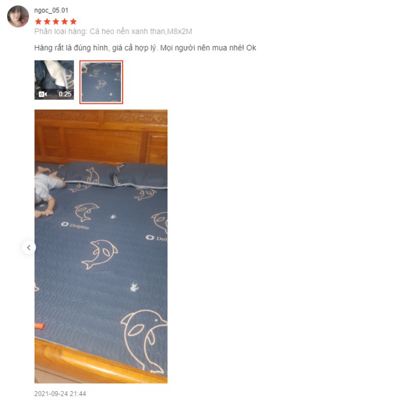 Đệm thảo dược NATURAL Đệm ngủ bông ép CHỐNG MUỖI  CAO CẤP KHÔNG KÈM GỐI