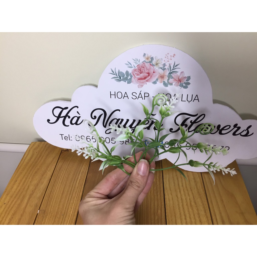 CỎ ĐIỂM KÝ - ĐIỂM HOA LÁ