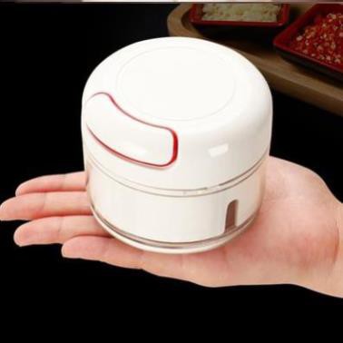 Dụng cụ xay tỏi ớt cầm tay đa năng tiện dụng