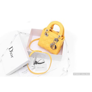 Túi xách Dior size 20