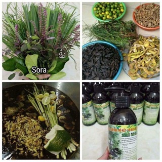 Dầu gội, xả bồ kết cô đặc