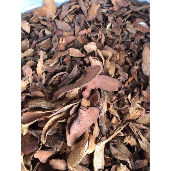 Cốt bổ toái (tắc kè đá) thần dược xương khớp  khô túi 1kg