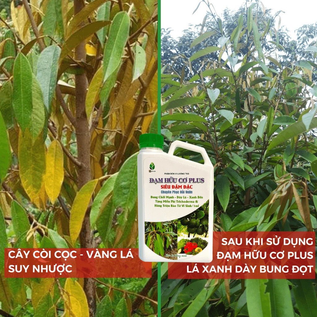 Phân Bón Đạm Hữu Cơ Plus Đậm Đặc 1 Lít - Chuyên Phục Hồi Vườn - PH Việt Nam