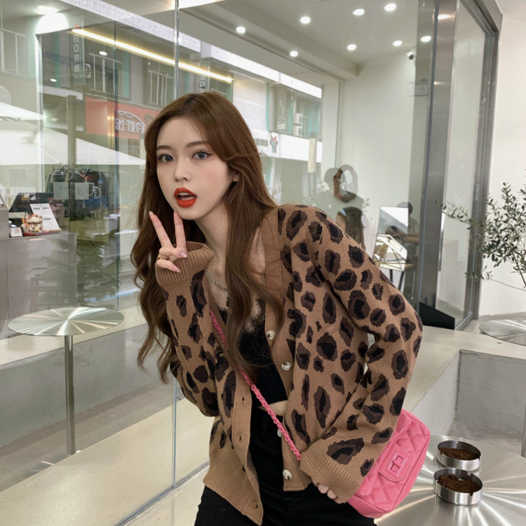 Áo Khoác Cardigan Dệt Kim Dáng Rộng Cổ Chữ V In Da Báo Retro Mùa Thu Hàn Quốc Dễ Phối Đồ Cho Nữ