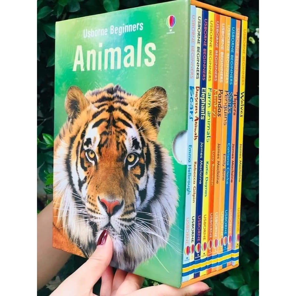 Bộ nhập 10q - Usborne Biginners Animals