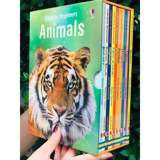 Bộ nhập 10q - Usborne Biginners Animals