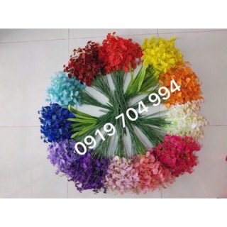 Combo 10 nguyên liệu làm hoa lan