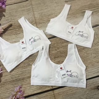 Combo 2 ÁO LÁ HỌC SINH CÀI KHUY SAU