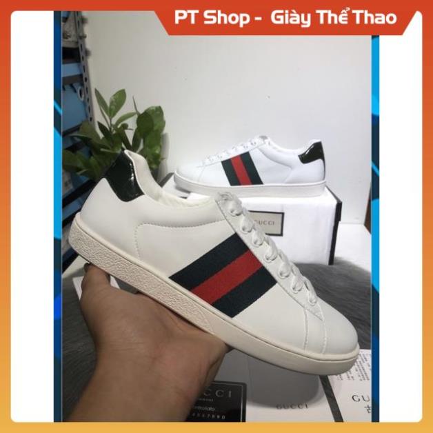 [FreeShip+ Hàng Cao Cấp] Giày thể thao Gucci nam nữ cao cấp, Giày nam nữ Full phụ kiện Sneaker